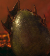 Balaur Dragon Egg