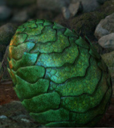 Zilant Dragon Egg